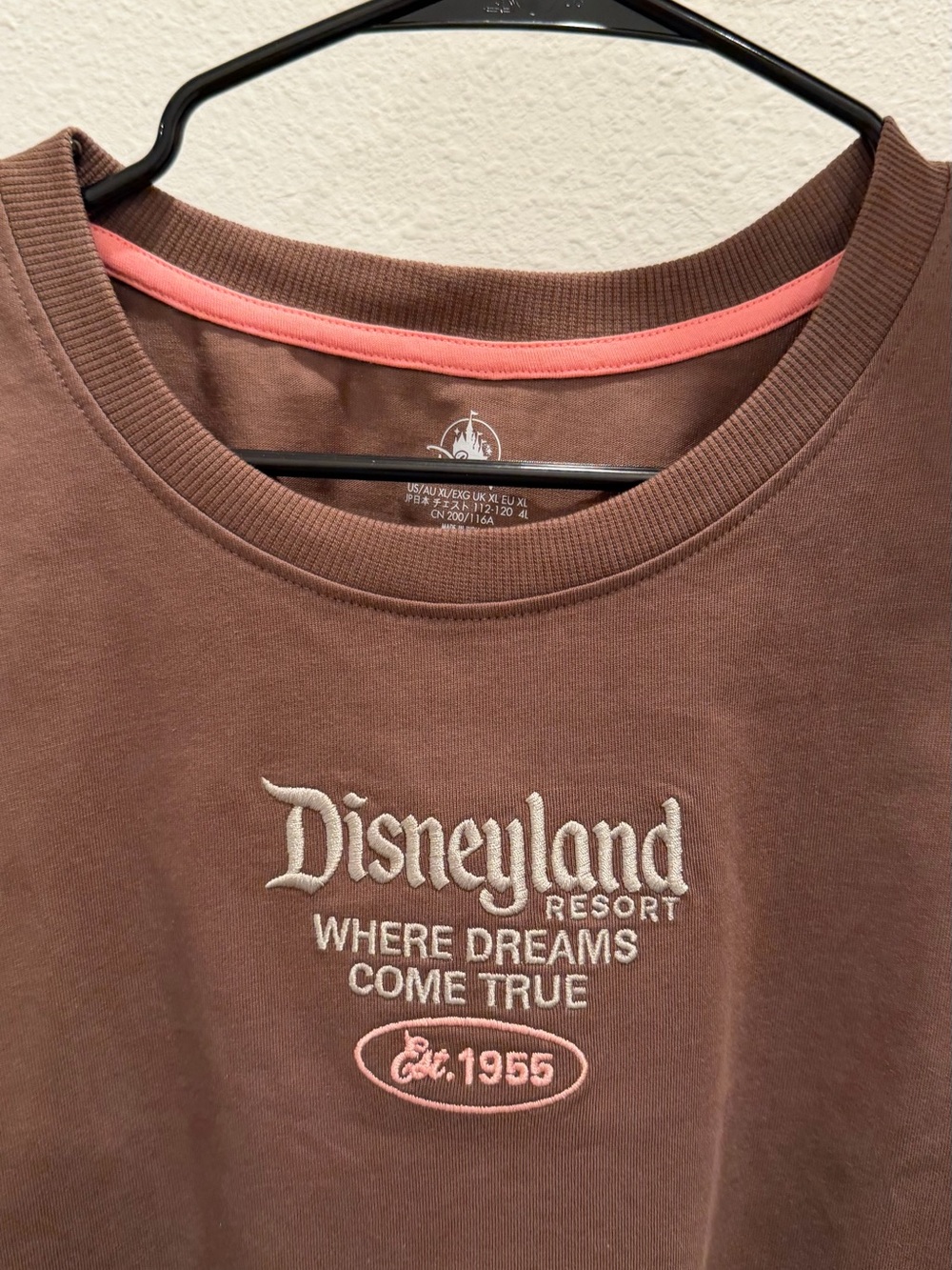 Disneyland Oversized where dreams come true graphic t-shirt NWT XL new to park - Picture 6 of 8